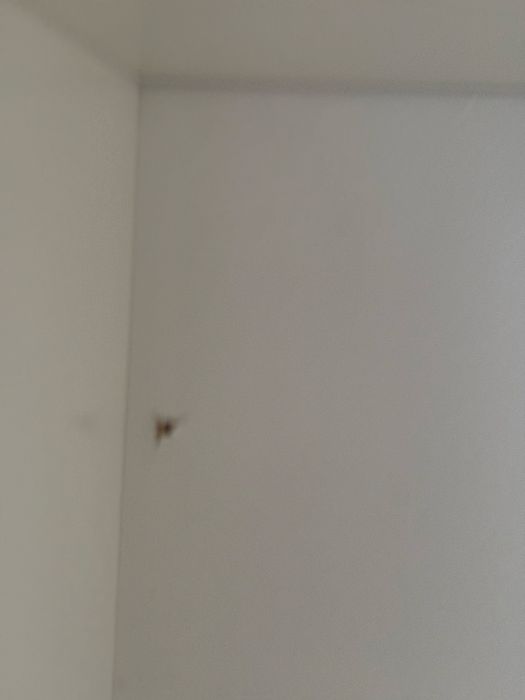 Liatrop pólka 152x47cm ikea biała