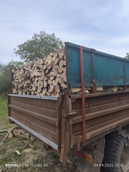 Дрова твердих порід