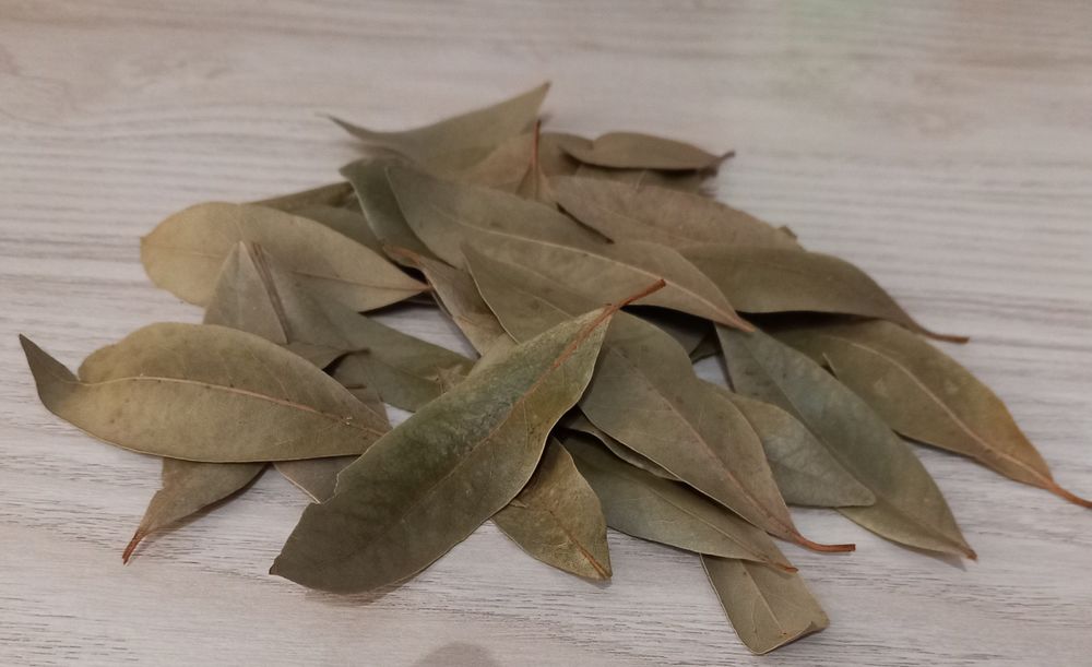 Folhas de Louro Frescas e Aromáticas