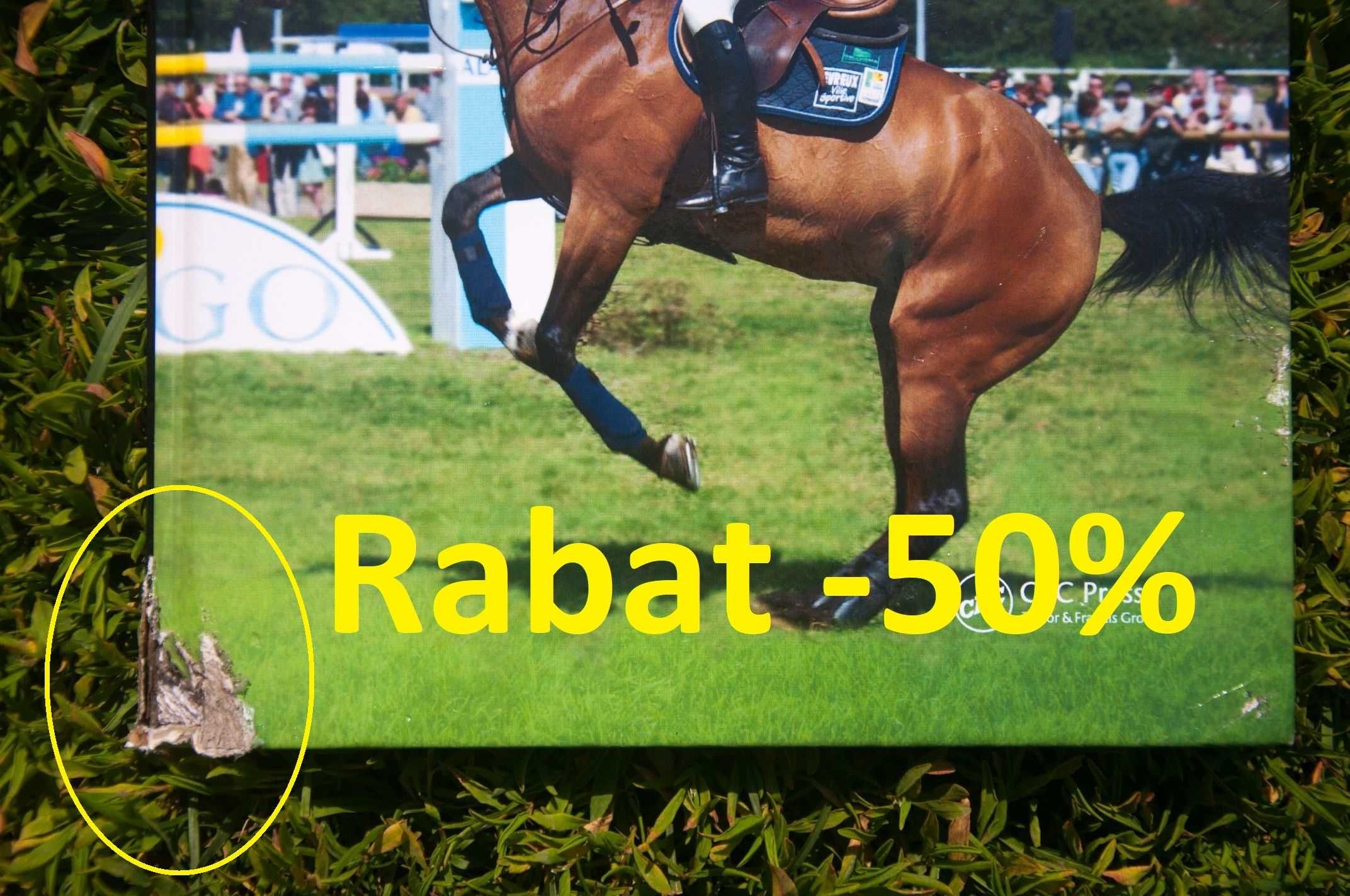 Biomechanics and Physical Training of the Horse