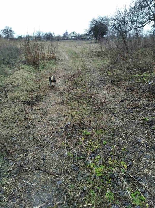Продам участок под строительство твоего дома мечты.