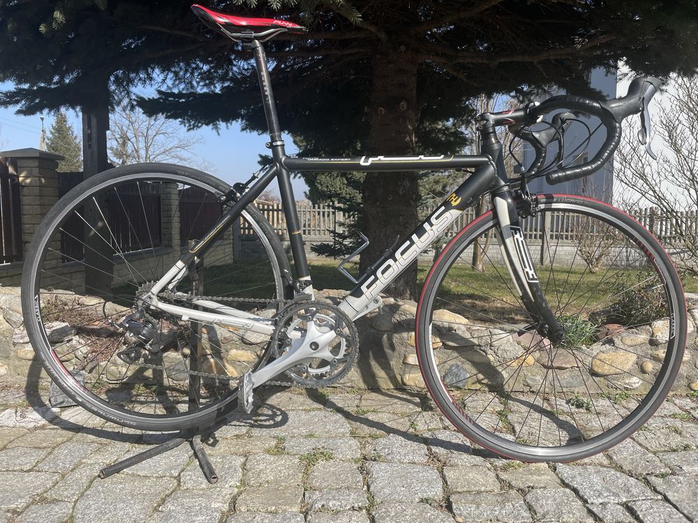 Szosa Kolarzówka FOCUS Variado Shimano Claris 2x8 widelec carbon fsa