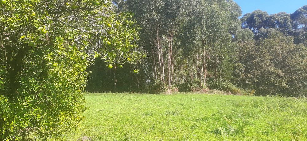 Terreno para construção