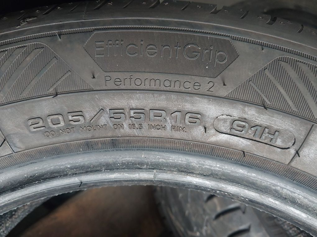 Goodyear EfficientGrip Performance 2 205/55R16 91 H