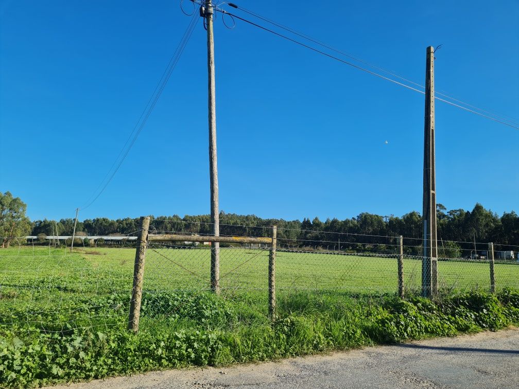 Terreno agro-industrial