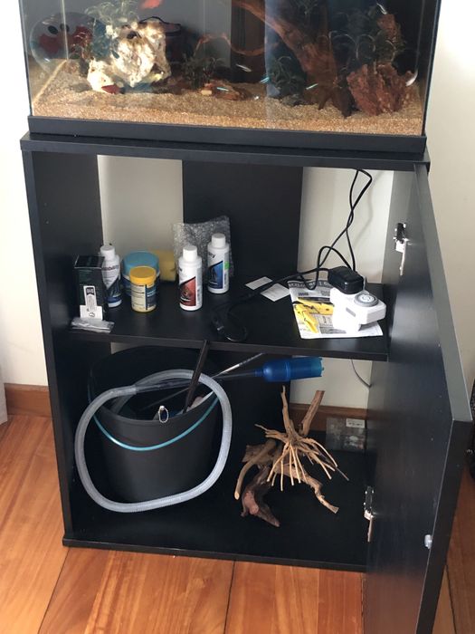 Aquario 60L com Movel