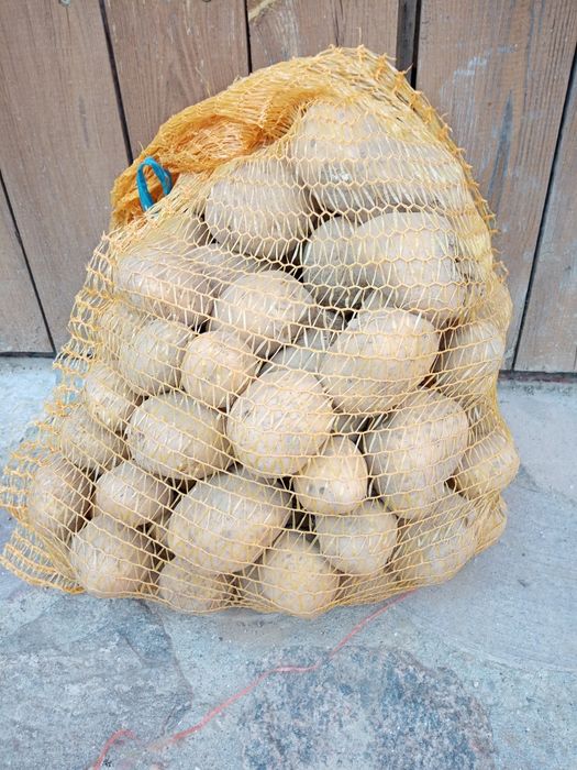 Ziemniaki Kartofle Pyry dowóz