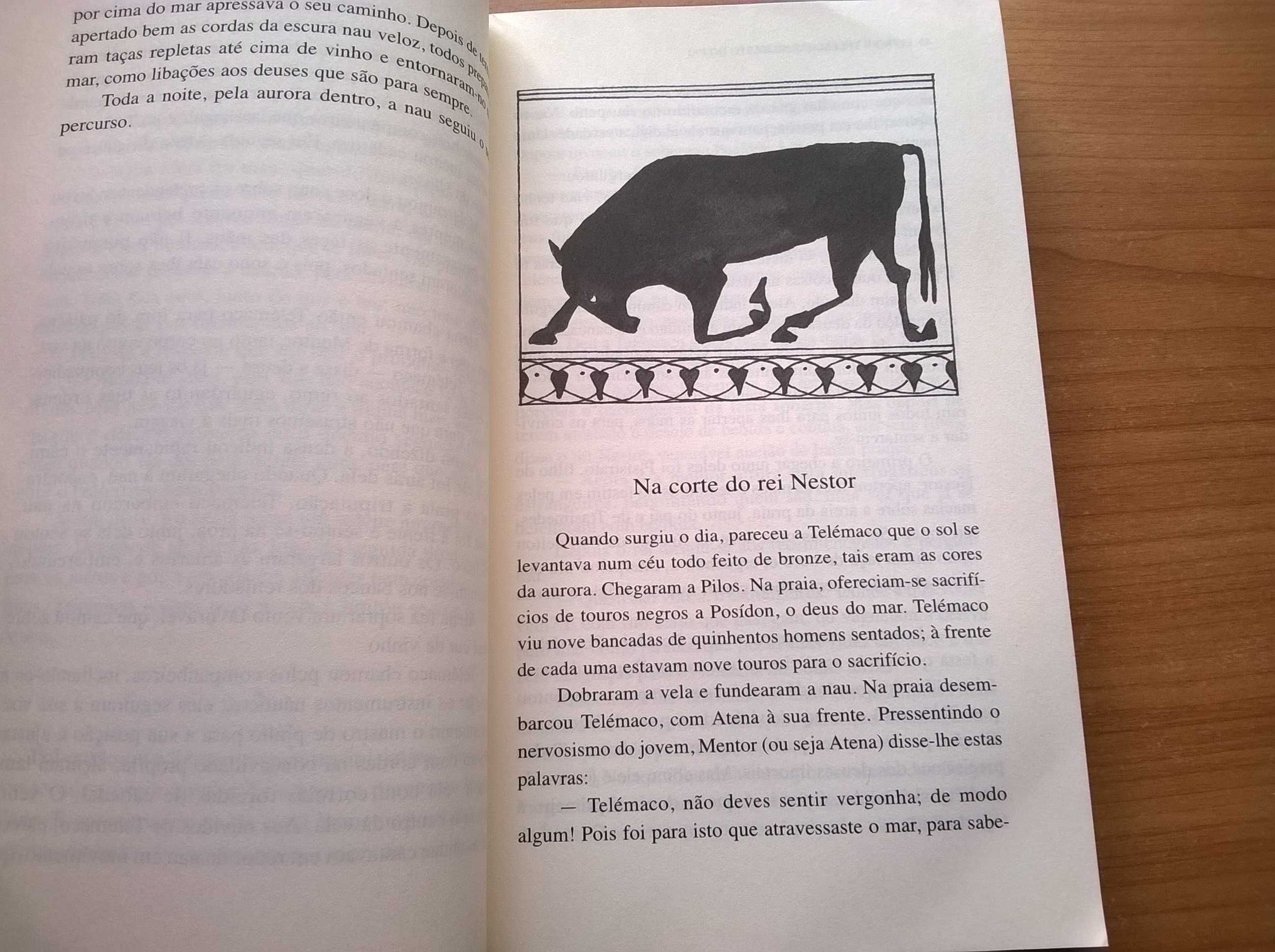 Odisseia (em prosa) de Homero - Adapt. por Frederico Lourenço