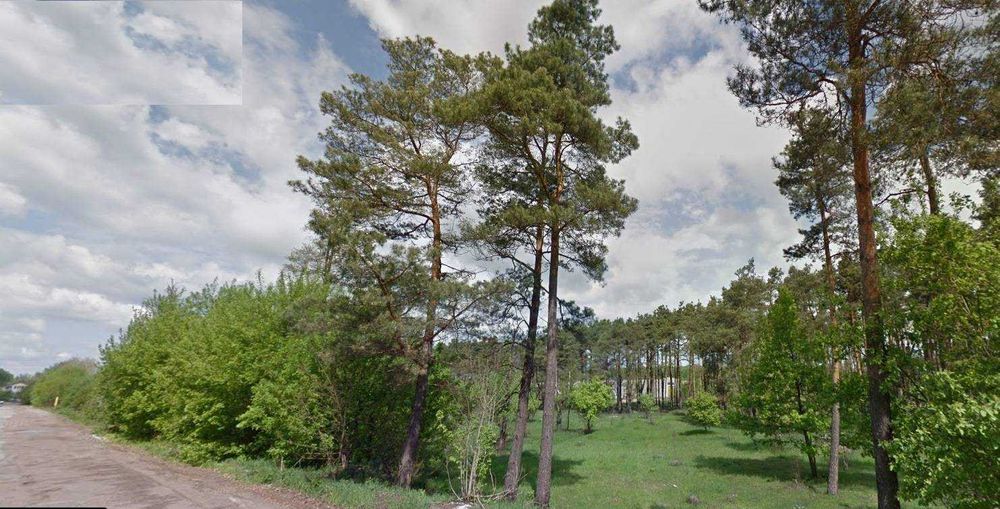 №:21018 - Ділянка комерційного призначення, 40 сот.