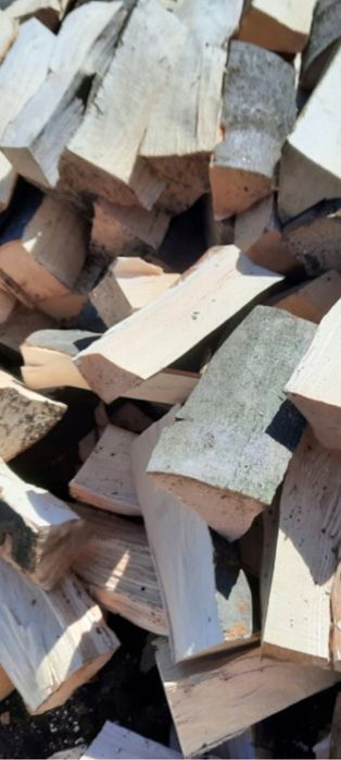 Drewno opałowe buk porąbane gotowe