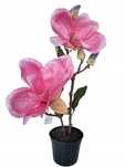 Kwiat MAGNOLIA 40cm różowy w doniczce