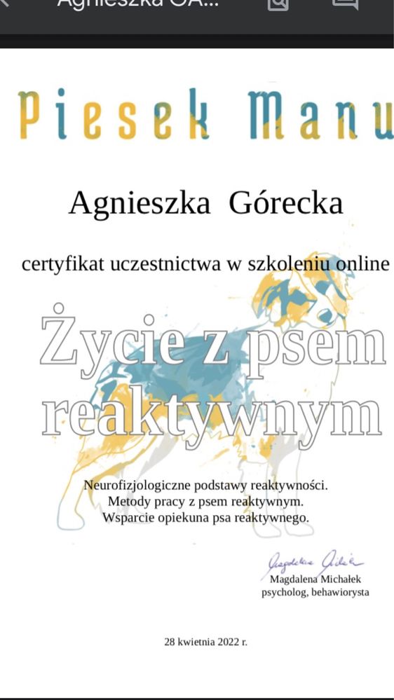 Behawiorysta zwierząt towarzyszacych COAPE, instruktor nosework