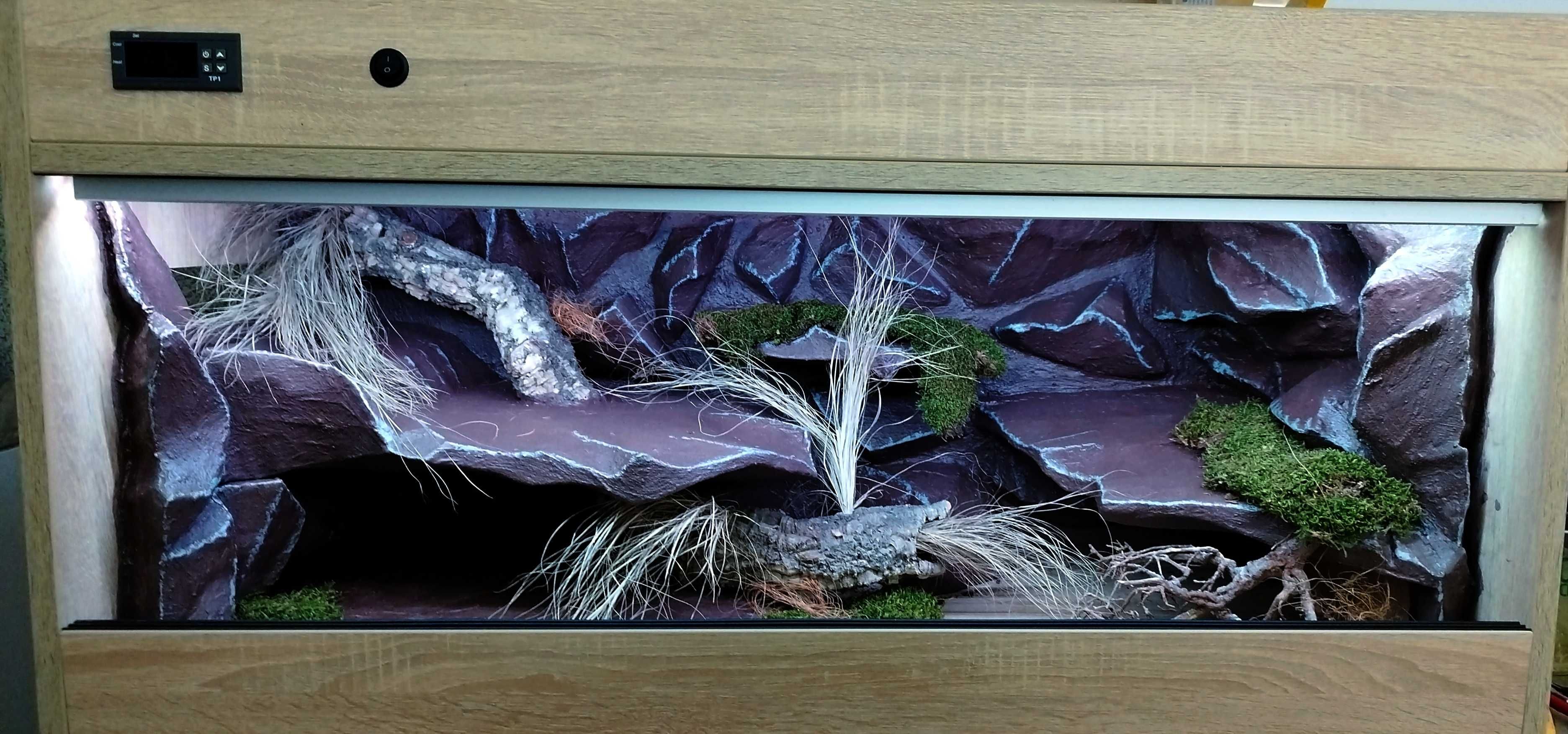 Terrarium dla pytona królewskiego 100x50x50 ( Exotic Leszno )