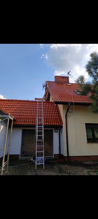 Wycinanie,przycinanie drzew krzewy, rębak,koszenie traw, tuje,żywopłot