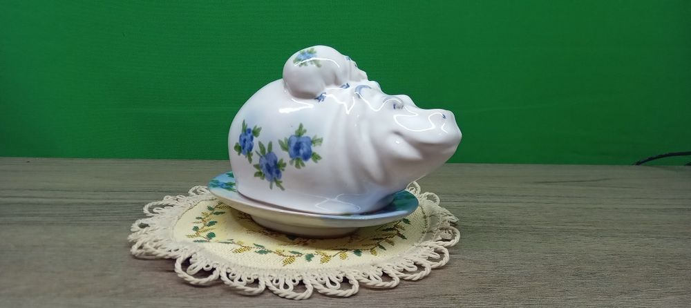 Масленка бегемот