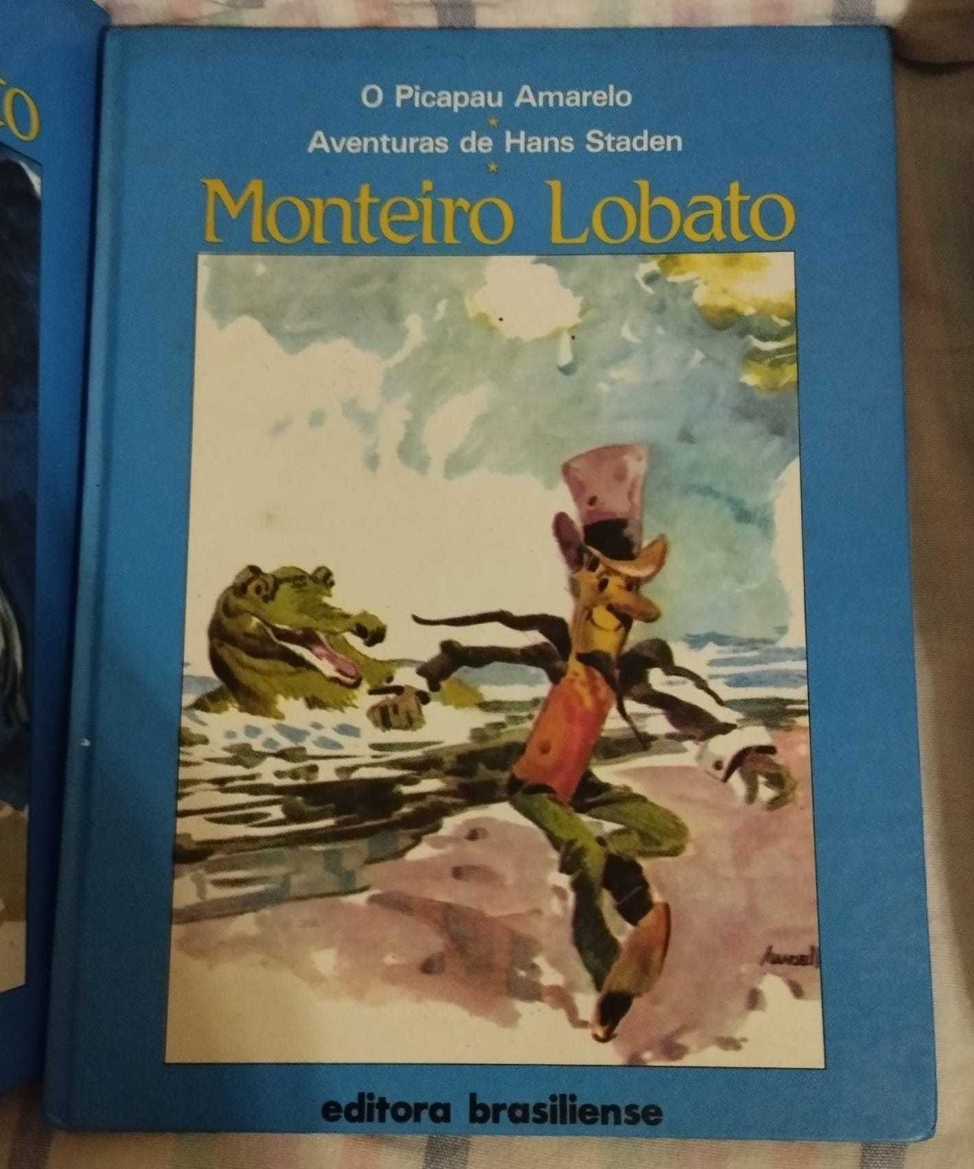 Colecção Livros Monteiro Lobato 14 Volumes