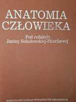 Anatomia człowieka. Janina Sokołowska-Pituchowa