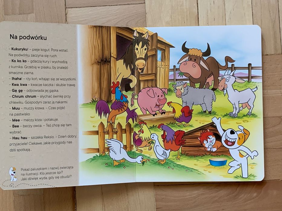 Reksio i przyjaciele, Pajączek książki