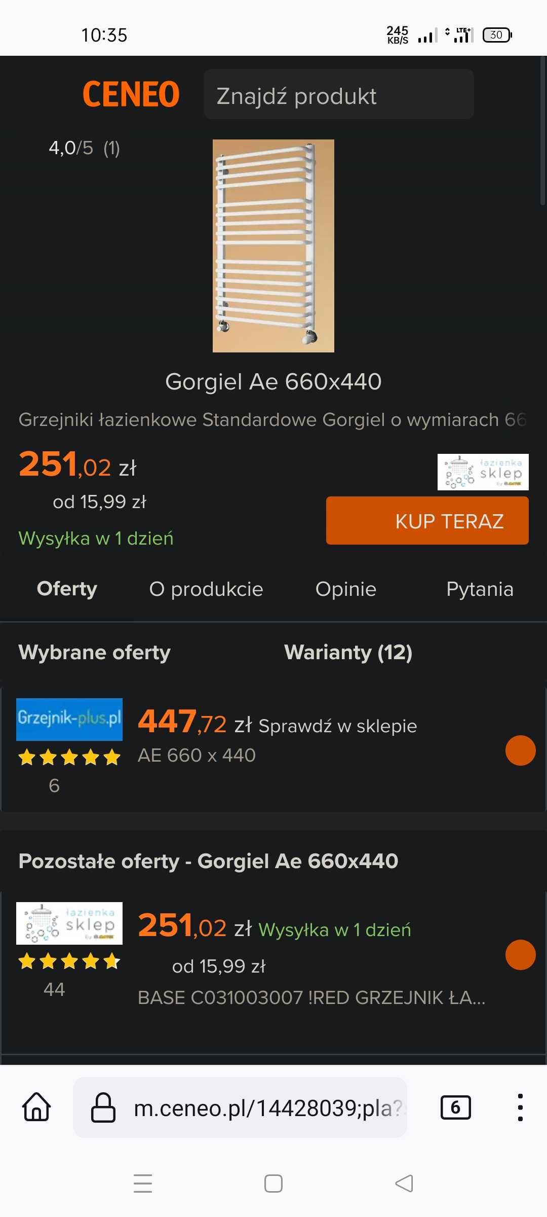 grzejniki łazienkowe Gorgiel AE 660x440 drabinka