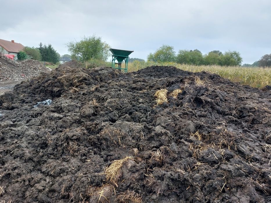 Obornika bydlęcy od krów krowi dostawy 25 ton