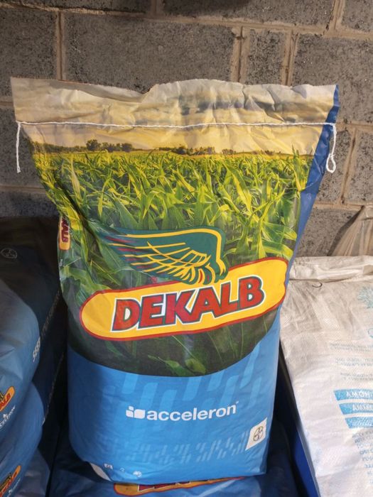 Продам семена Кукурузы Dekalb