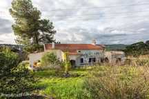 Quinta com moradia recuperada, 10062 m2 de terreno, a finalizar