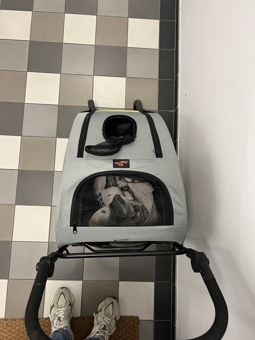 Wózek dla psa WISFOR