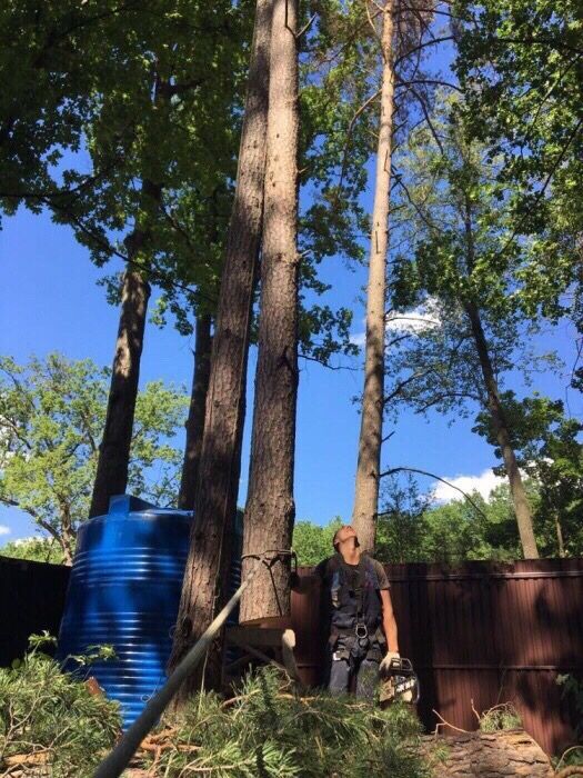 Видалення,спилдерев,чистка,кронування,прарс трави, корчування