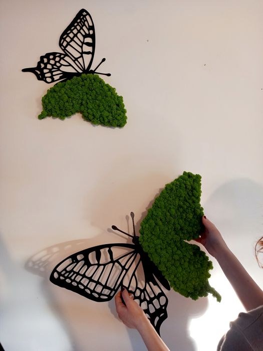 Motyl z mchem chrobotkiem Obraz na ścianie. Prezent. Dekoracje wnętrz
