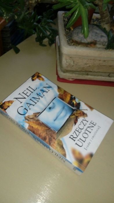Rzeczy ulotne. Neil Gaiman