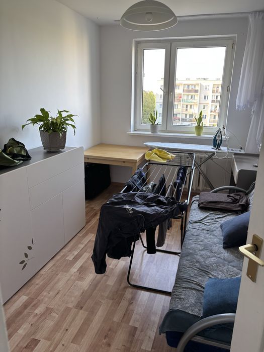 Wynajeme mieszkanie
