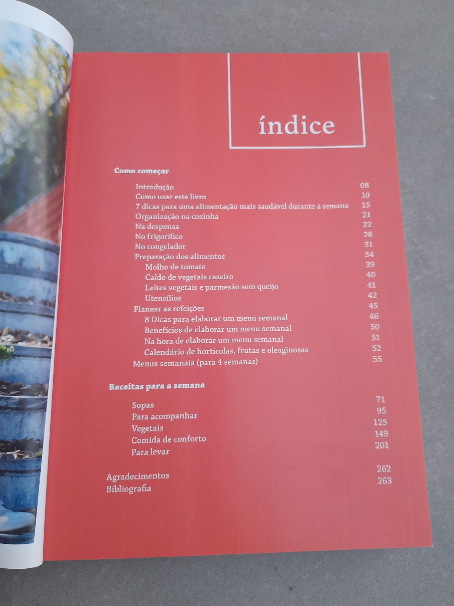 As 101 melhores receitas do Menu da Semana – Vânia Ribeiro
