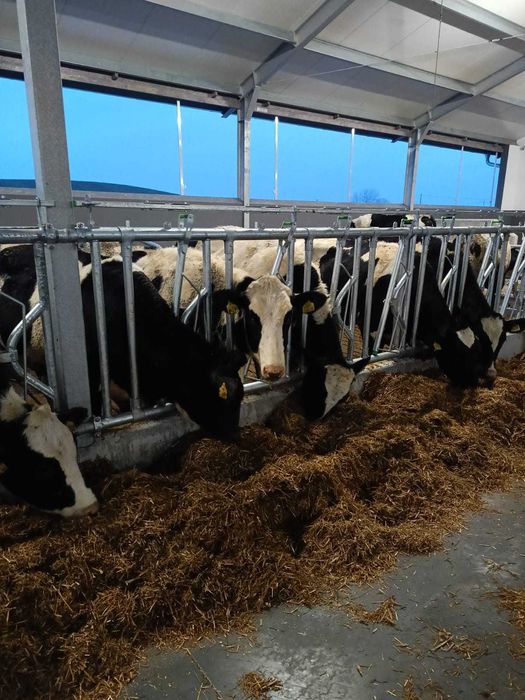 Bramy przepędowe, drabiny paszowe, agrafki, obejmy, wyposażenie obory