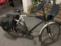 Rower gazelle eclipse