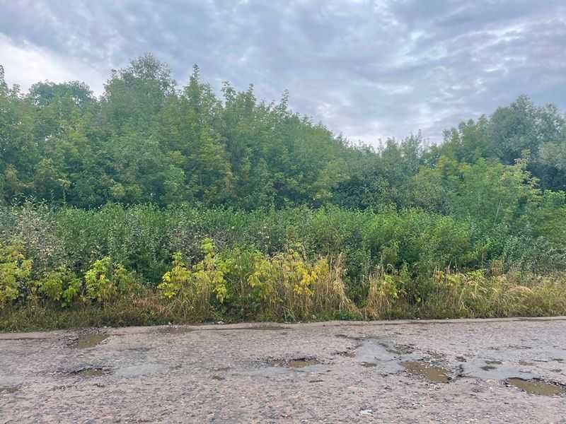 Продаж ділянки під забудову 0,24га м. Броди