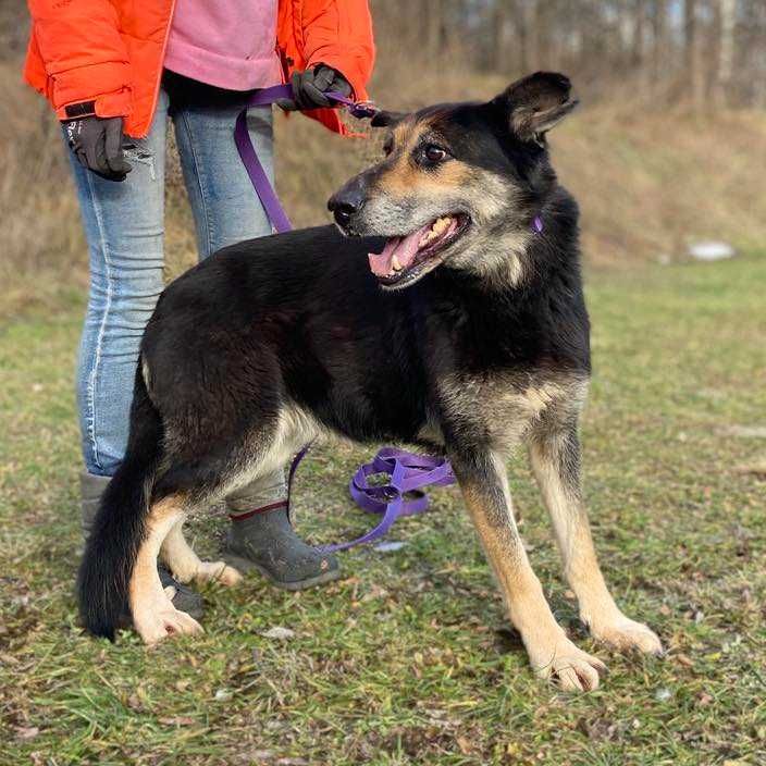RAJKA szuka domku