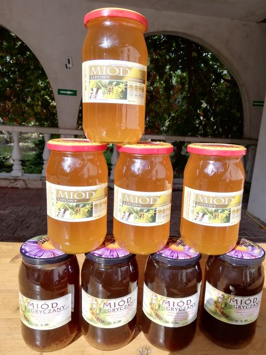 Miód prosto z pasieki