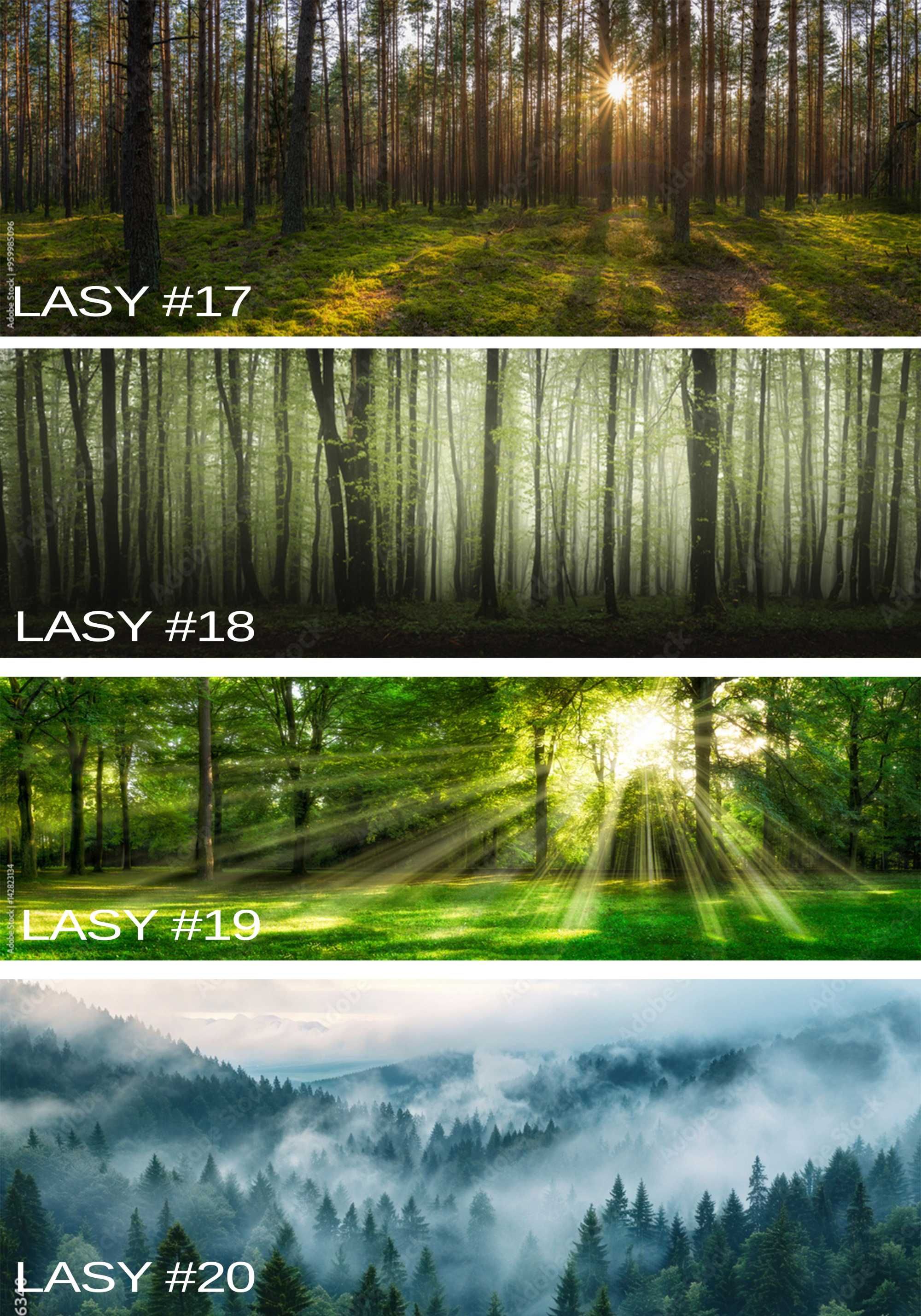 PIĘKNE Panele Szkło hartowane UV Panorama Las Góry Tatry MONTAŻ GRATIS