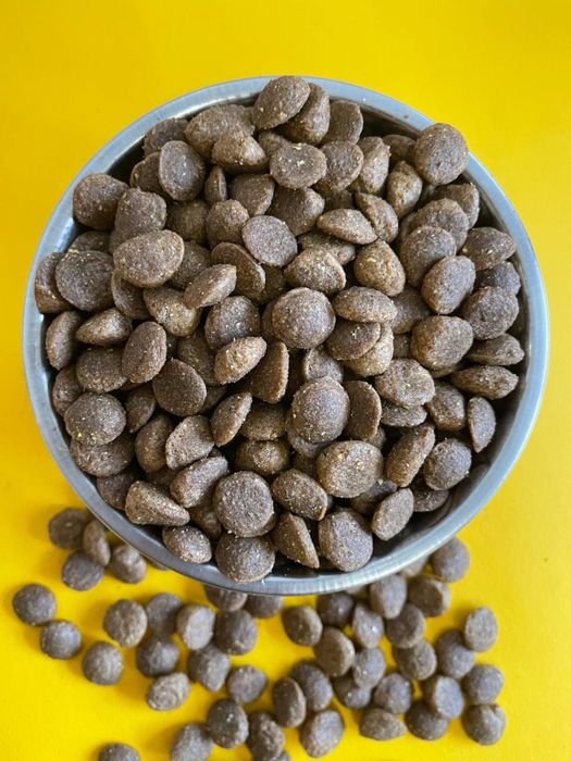 Натуральний сухий корм (преміум) для собак - Buddy Food з індичкою