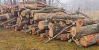 Продам дрова твердої породи: бук, граб