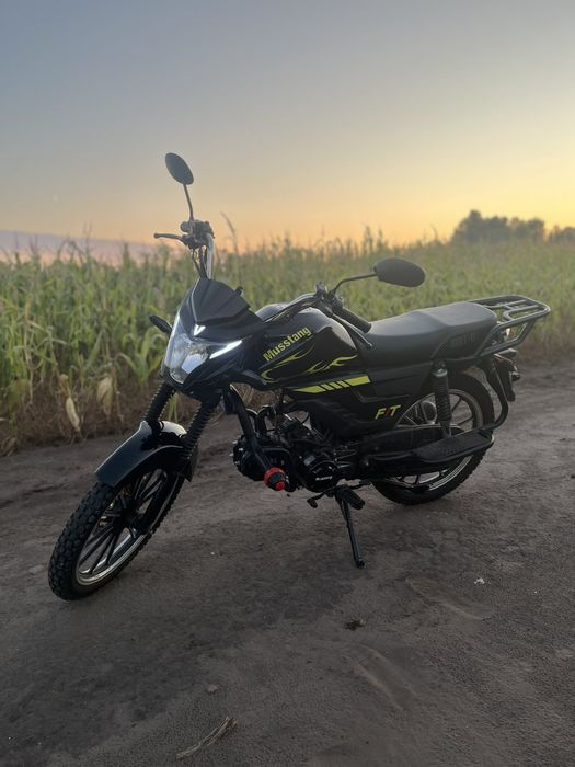 mustang fit 2 alpha.