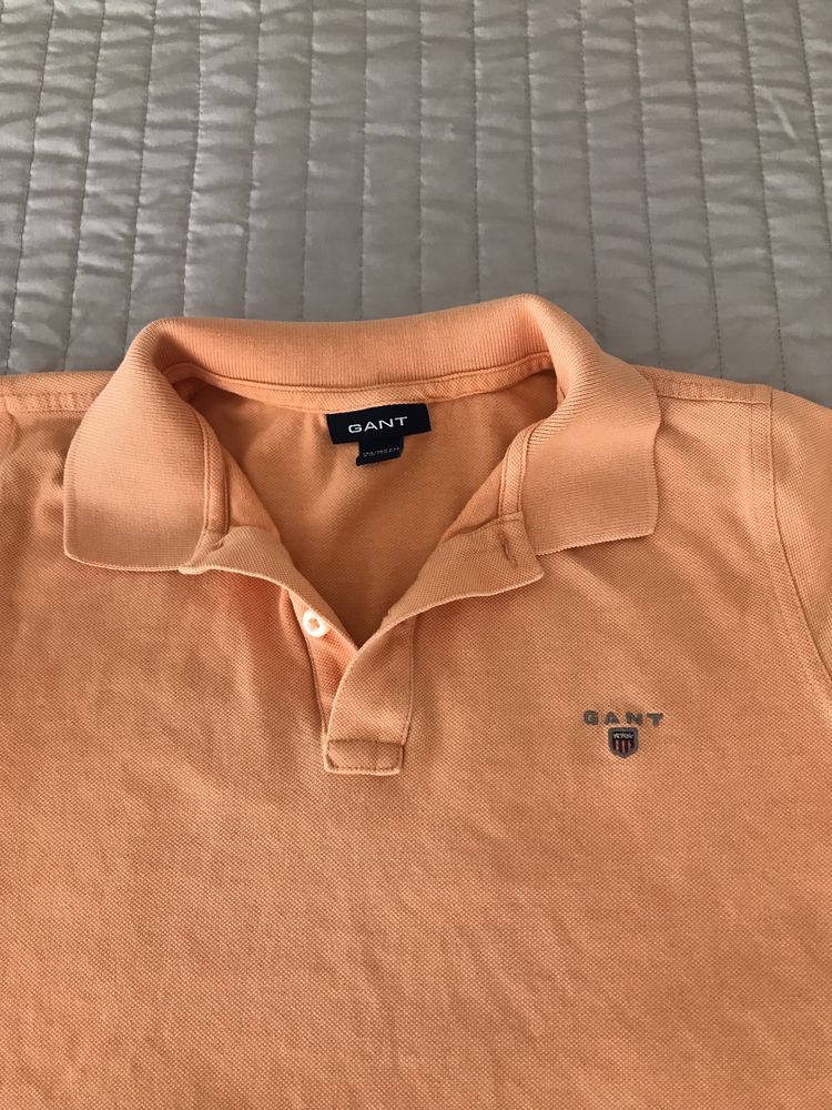 Polo gant 9 anos