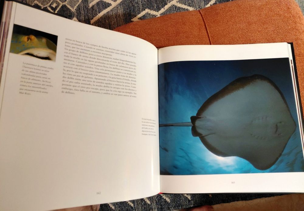 Livro Tesoros del Mar - Norbert Wu