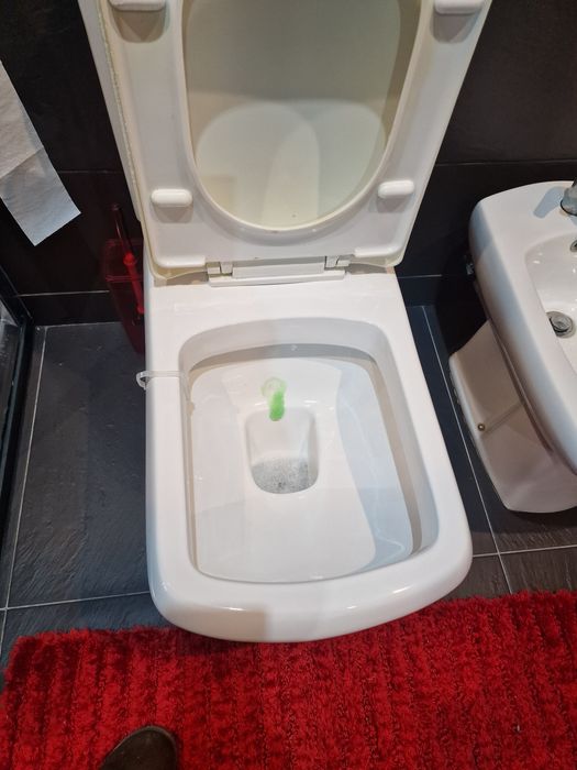 Sanita e bidé  em bom estado o tampo é que tem que ser substituído