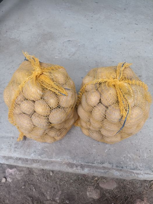 Sprzedam ziemniaki jadalne