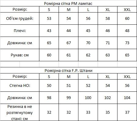Зима.2 пари шкарпет.Костюм чоловічий теплий на флісі з лампаса . Пума