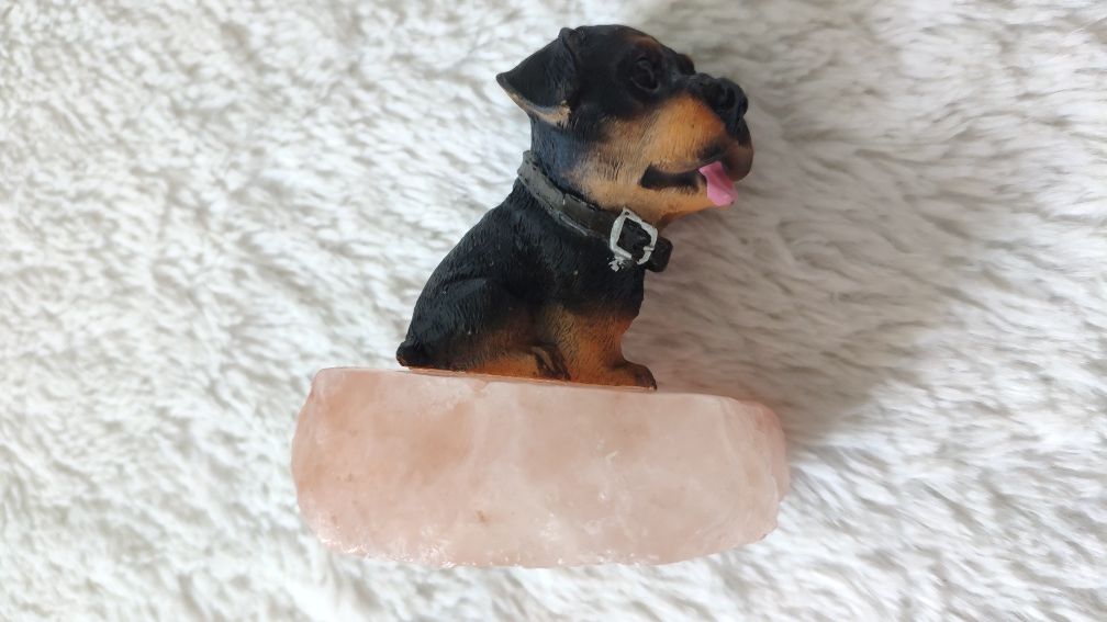 Figurka psa na kostce soli