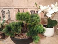 Fejka Ikea, kwiat sztuczny, w doniczce, bonsai