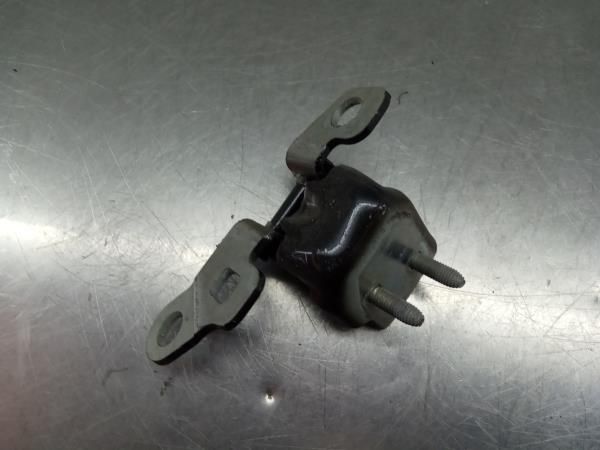 Dobradiça porta trás esquerdo RENAULT Zoe (BFM_)