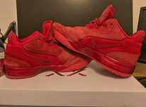 Nike LeBron Nxxt Gen AMPD - EUR46